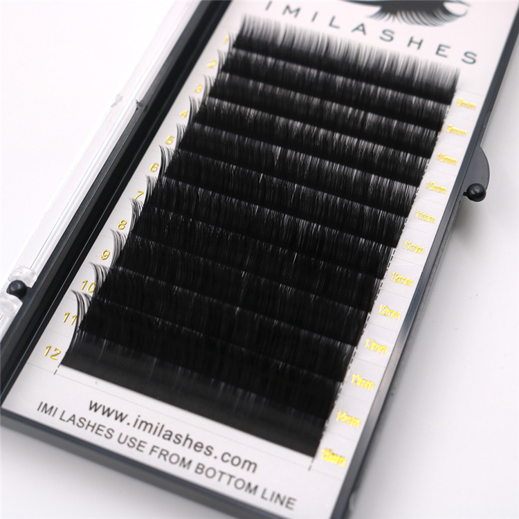 Long lasting professional false eyelashes-D